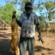 Illustration for article titled Gigantic feral cats are wreaking havoc on Australias wildlife